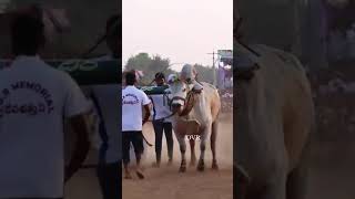 Download lagu https://www.facebook.com/100008332715889/posts/3199712276983165/?mibextid=5gdBGT9ZFDE4ZL3L mp3 Download lagu https://www.facebook.com/100008332715889/posts/3199712276983165/?mibextid=5gdBGT9ZFDE4ZL3L mp3