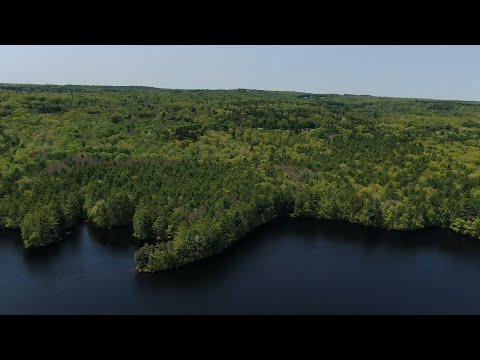 Drone Video - 188 Oakham Rd, North Brookfield, MA