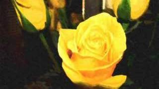 I Remember, I Believe performed by Sweet Honey in the Rock