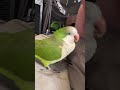 Steven wants kisses 💚