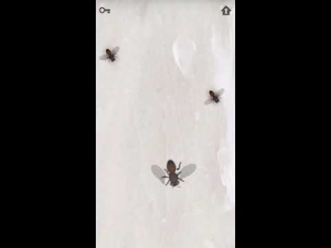 CAT ALONE - 고양이 장난감 Video