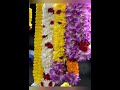 Thai Pongalum Vanthathu Song Roja Koottam