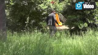 fra-topi-e-giungle-nel-verde-in-citta-area-per-area