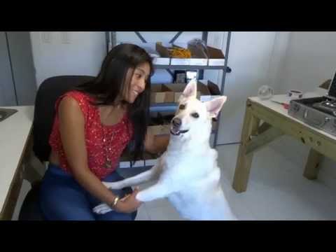 Dragon Link Micro Receiver Basic Setup:  Binding and Calibration