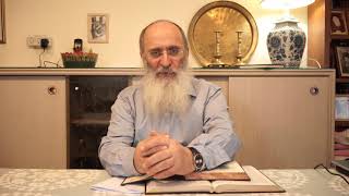 עיונים בהלכות בני נח חלק א' מאת הרב שרקי