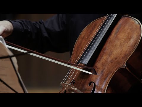 W.A. Mozart - String Quartet No.19 in C Major, K. 465 "Dissonance", Menuetto