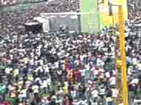 vive latino escenario verde23