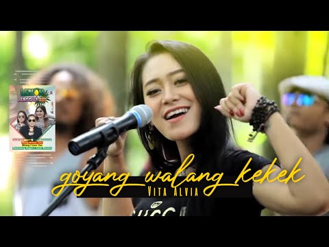 download lagu mp3 mp4 Walang Kekek Vita Alvia, download lagu Walang Kekek Vita Alvia gratis, unduh video klip Walang Kekek Vita Alvia