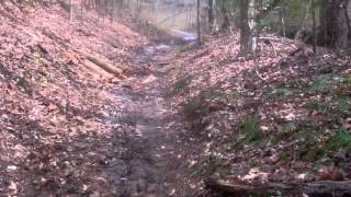 At Raven Rock State Park located in Lillington North Carolina