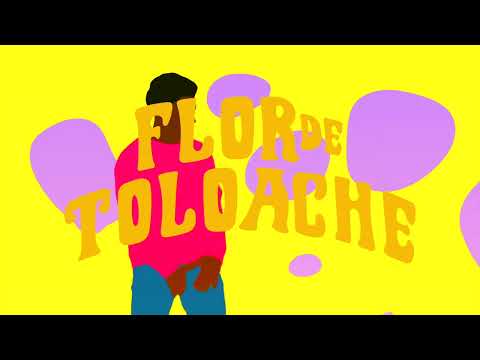 Una Vida Y Otra Mas - Flor de Toloache