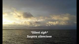 Silent sigh - Badly Drawn Boy [SUBTITULOS ESPAÑOL E INGLES]
