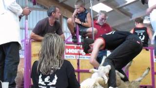 preview picture of video 'Corbigny Finale Intermédiaires Championnat de France de tonte de moutons 2011'