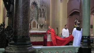 FOTA X Cork 2017   Pontifical High Mass   Ecce sacerdos