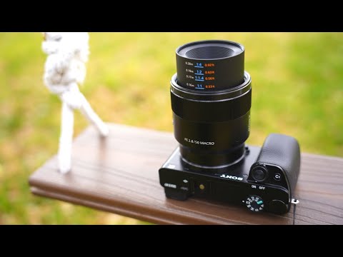 Video thumbnail for Video Review 1