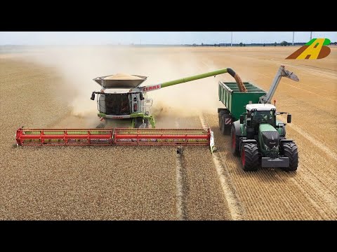 Getreideernte Mähdrescher Claas Lexion & Fendt Traktoren im Großeinsatz Lebensmittel Landwirtschaft