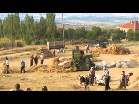 sevilay genç harman yeri