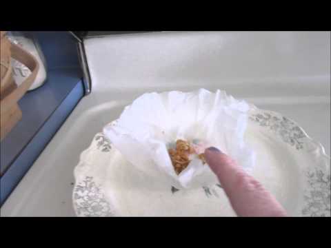 download lagu mp3 mp4 Ginger Salve Recipe, download lagu Ginger Salve Recipe gratis, unduh video klip Ginger Salve Recipe