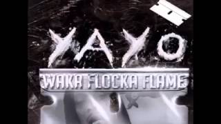 Waka Flocka Flame - Yayo (Remix)