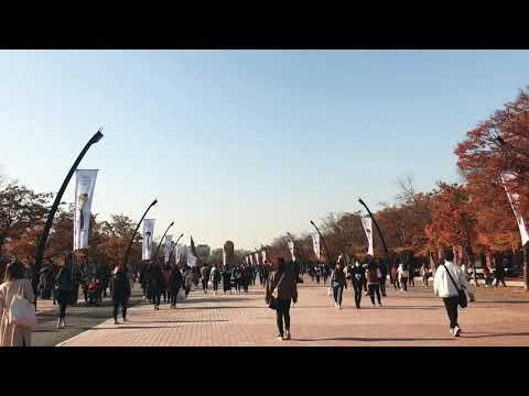 031118 Concert Seventeen ideal cut final scene in Seoul