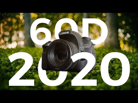 Canon 60D in 2020