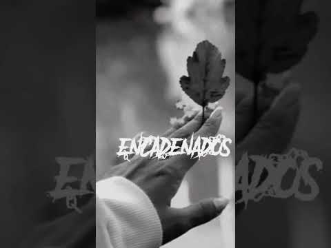 Manuel Carrasco  y Malú - Que Nadie #dignidad #manuelcarrasco #shortsviral #videomusical