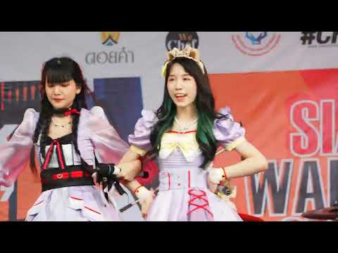 280522 [Fancam] Vasa Castella - ทาสแมว
