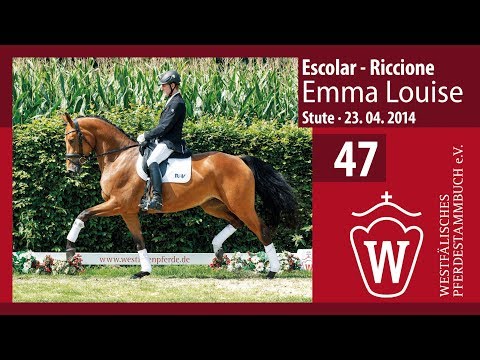 47 Emma Louise Stute v. Escolar - Riccione