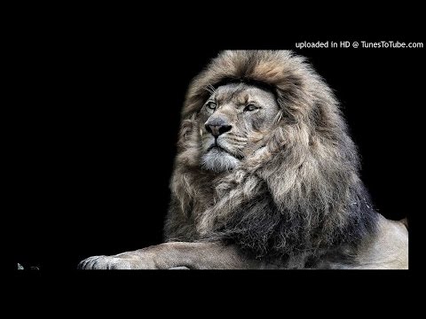 Munji - Off the Rip Remix