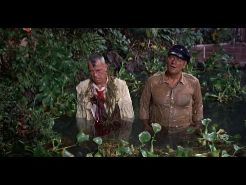 John Wayne and Lee Marvin Fight | DONOVAN'S REEF ('63)