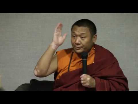 Tulku Dakpa Rinpočhe   Sloboda od negatívnych emócii
