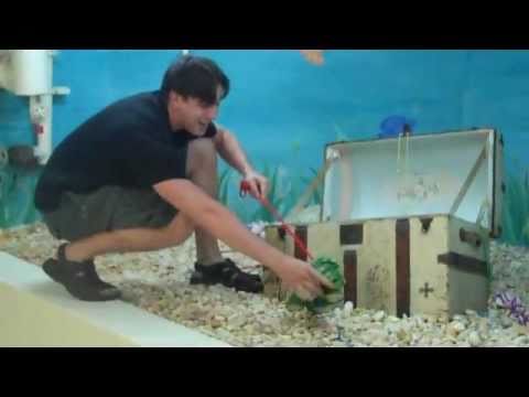 FLORIDA SCAVENGER HUNT!