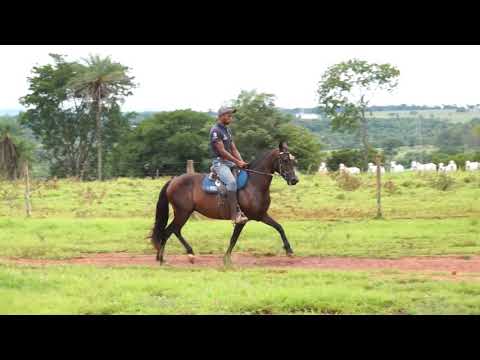 Miragem do Morro Azul