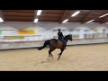 Sapralot Und Die Lisa Die Reitschule München