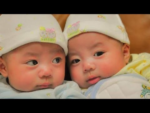 Ces jumeaux sont nés après avoir passé 123 jours dans le ventre de leur mère décédée mort cérébrale Video