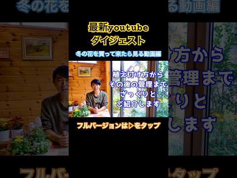  4月に植える球根：カラフルで香り豊かな庭のためのトップ10！  庭園