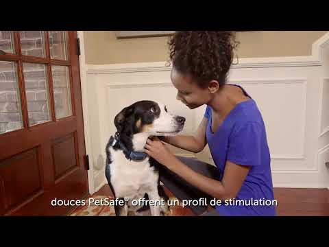 Système de dressage 100, 300, 600 et 900M PetSafe - Présentation