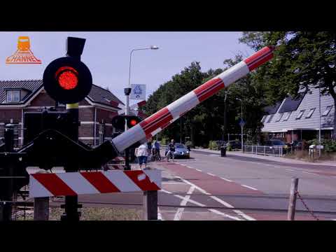 DUTCH RAILROAD CROSSING - Den Dolder - Dolderseweg