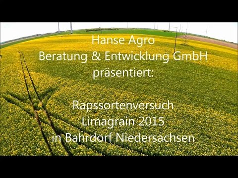 Raps Sorten Großflächenversuch im Überflug vom 27.04.2015