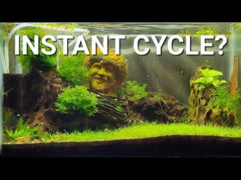 Can You Instantly Cycle An Aquarium? Fast Aquarium Cycling Explained!