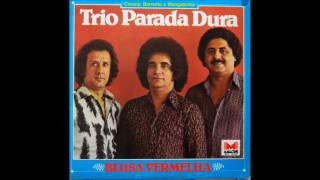 Endereço Da Felicidade Lyrics English Translation