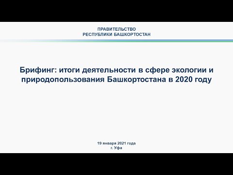 Брифинг: итоги деятельности в сфере экологии и природопользования Башкортостана в 2020 году