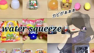 全水系スクイーズ紹介💦