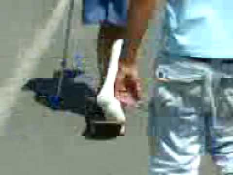 Bürgel und die Freaks 3