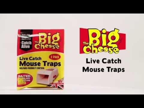 The Big Cheese Live Catch Mouse Trap- How To Video