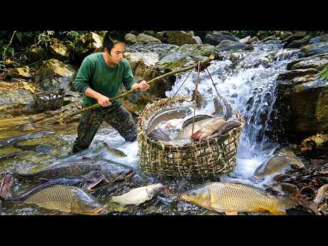 Survival Alone in the Forest - Making a Bamboo Trap Basket for Catching River Fish for Dinner