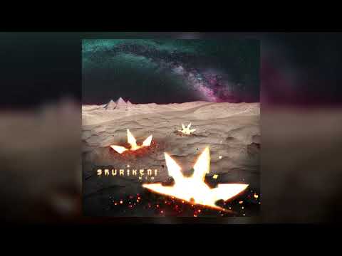 NLO - Planet Tame (feat. Kovlaj)