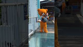 Download lagu Majedar panda funny #panda video viral #ytshots video short video mp3 Download lagu Majedar panda funny #panda video viral #ytshots video short video mp3