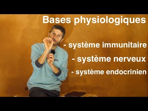 Sortir de l'épuisement n°3 : Bases physiologiques du système nerveux, immunitaire et endocrinien
