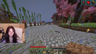 Chat Pressures Tina to Start Wars in Dsmp