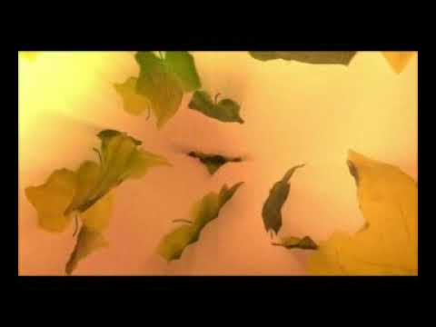 愛のフィナーレ　　　ちあきなおみ love finale Naomi Chiaki